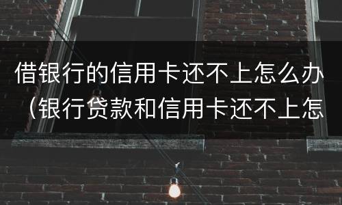 借银行的信用卡还不上怎么办（银行贷款和信用卡还不上怎么办）