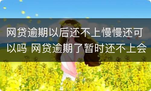 网贷逾期以后还不上慢慢还可以吗 网贷逾期了暂时还不上会怎样