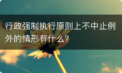 行政强制执行原则上不中止例外的情形有什么？