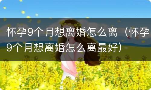 怀孕9个月想离婚怎么离（怀孕9个月想离婚怎么离最好）