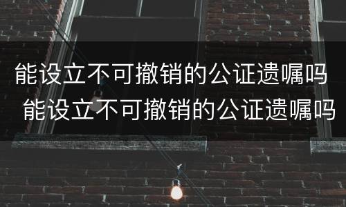 能设立不可撤销的公证遗嘱吗 能设立不可撤销的公证遗嘱吗法律规定
