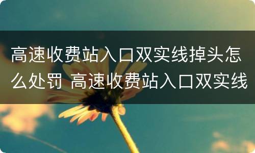 高速收费站入口双实线掉头怎么处罚 高速收费站入口双实线掉头怎么处罚的