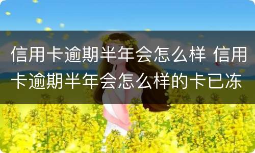 信用卡逾期半年会怎么样 信用卡逾期半年会怎么样的卡已冻结
