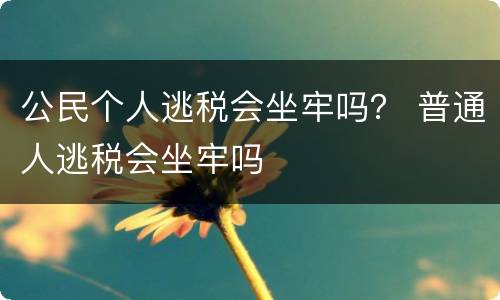 公民个人逃税会坐牢吗？ 普通人逃税会坐牢吗