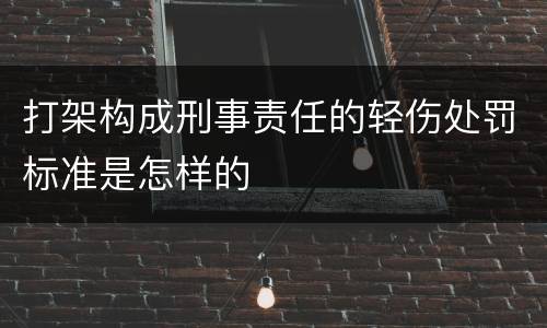 打架构成刑事责任的轻伤处罚标准是怎样的