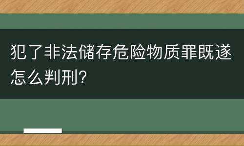 犯了非法储存危险物质罪既遂怎么判刑?