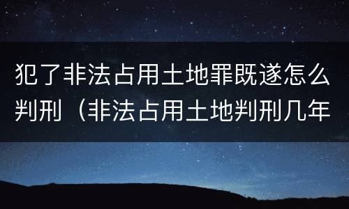 犯了非法占用土地罪既遂怎么判刑（非法占用土地判刑几年）