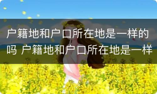 户籍地和户口所在地是一样的吗 户籍地和户口所在地是一样的吗怎么填