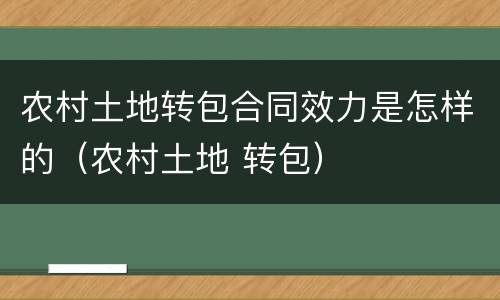 农村土地转包合同效力是怎样的（农村土地 转包）