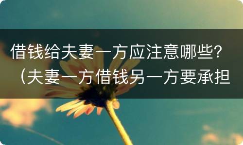 借钱给夫妻一方应注意哪些？（夫妻一方借钱另一方要承担吗）