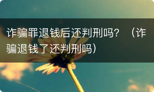 诈骗罪退钱后还判刑吗？（诈骗退钱了还判刑吗）