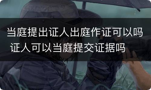 当庭提出证人出庭作证可以吗 证人可以当庭提交证据吗