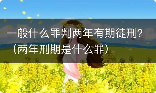 一般什么罪判两年有期徒刑？（两年刑期是什么罪）