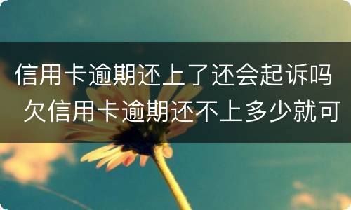 信用卡逾期还上了还会起诉吗 欠信用卡逾期还不上多少就可以起诉了