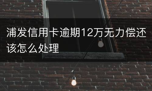 浦发信用卡逾期12万无力偿还该怎么处理