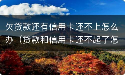 欠贷款还有信用卡还不上怎么办（贷款和信用卡还不起了怎么办）