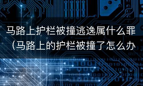 马路上护栏被撞逃逸属什么罪（马路上的护栏被撞了怎么办）