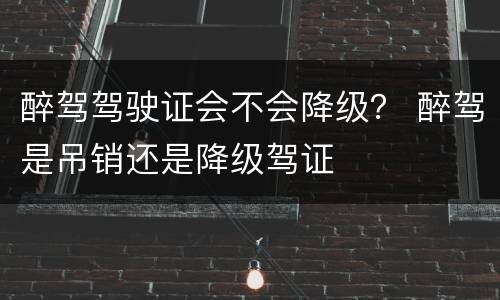 醉驾驾驶证会不会降级？ 醉驾是吊销还是降级驾证