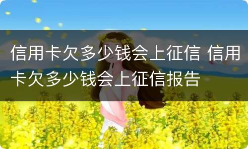 信用卡欠多少钱会上征信 信用卡欠多少钱会上征信报告