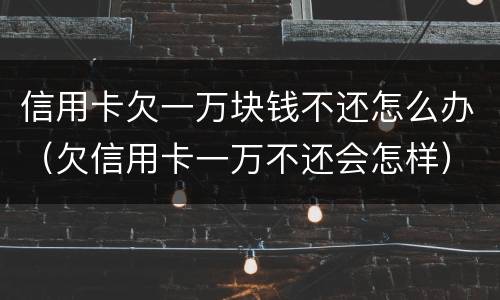 信用卡欠一万块钱不还怎么办（欠信用卡一万不还会怎样）