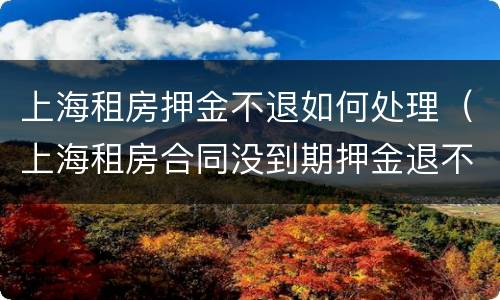 上海租房押金不退如何处理（上海租房合同没到期押金退不退）