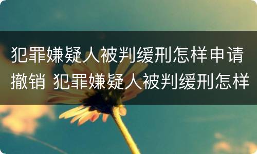 犯罪嫌疑人被判缓刑怎样申请撤销 犯罪嫌疑人被判缓刑怎样申请撤销案件
