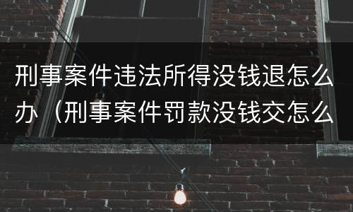 刑事案件违法所得没钱退怎么办（刑事案件罚款没钱交怎么办）