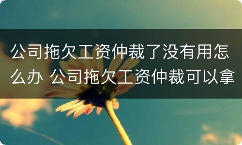 公司拖欠工资仲裁了没有用怎么办 公司拖欠工资仲裁可以拿到赔偿吗