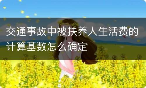 交通事故中被扶养人生活费的计算基数怎么确定