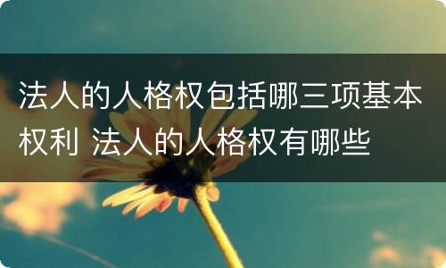 法人的人格权包括哪三项基本权利 法人的人格权有哪些