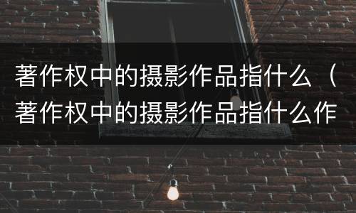 著作权中的摄影作品指什么（著作权中的摄影作品指什么作品）
