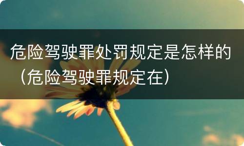 危险驾驶罪处罚规定是怎样的（危险驾驶罪规定在）