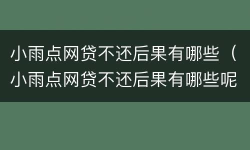 小雨点网贷不还后果有哪些（小雨点网贷不还后果有哪些呢）