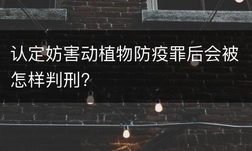 认定妨害动植物防疫罪后会被怎样判刑?