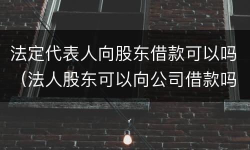 法定代表人向股东借款可以吗（法人股东可以向公司借款吗）