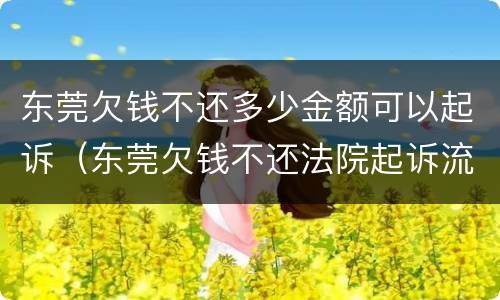 东莞欠钱不还多少金额可以起诉（东莞欠钱不还法院起诉流程）