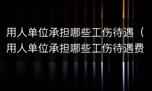 用人单位承担哪些工伤待遇（用人单位承担哪些工伤待遇费用）