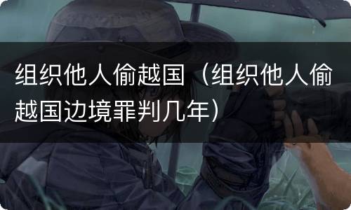 组织他人偷越国（组织他人偷越国边境罪判几年）