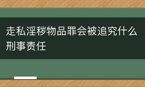 走私淫秽物品罪会被追究什么刑事责任