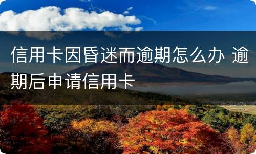 信用卡因昏迷而逾期怎么办 逾期后申请信用卡