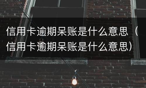 信用卡逾期呆账是什么意思（信用卡逾期呆账是什么意思）