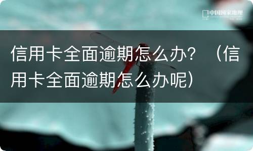 信用卡全面逾期怎么办？（信用卡全面逾期怎么办呢）