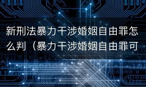 新刑法暴力干涉婚姻自由罪怎么判（暴力干涉婚姻自由罪可以刑事和解吗）