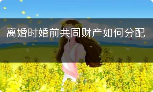 离婚时婚前共同财产如何分配