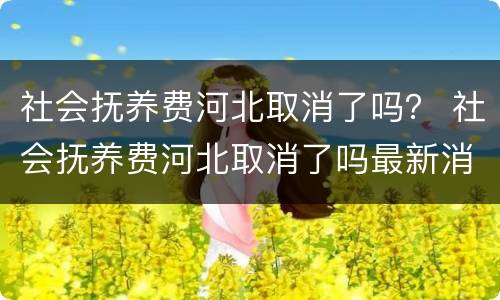 社会抚养费河北取消了吗？ 社会抚养费河北取消了吗最新消息