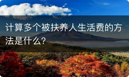 计算多个被扶养人生活费的方法是什么？