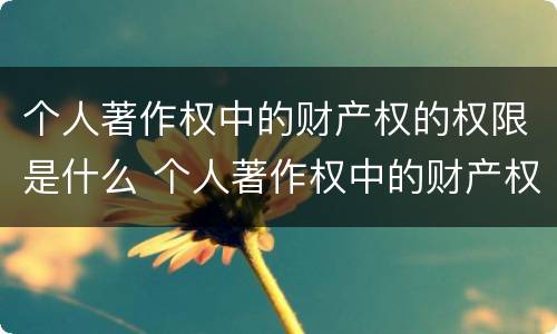 个人著作权中的财产权的权限是什么 个人著作权中的财产权利