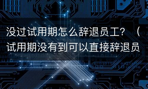 没过试用期怎么辞退员工？（试用期没有到可以直接辞退员工吗）