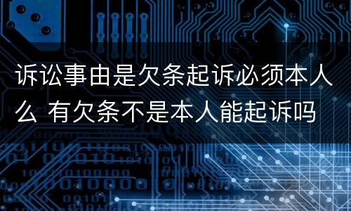诉讼事由是欠条起诉必须本人么 有欠条不是本人能起诉吗