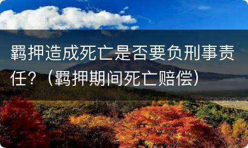 羁押造成死亡是否要负刑事责任?（羁押期间死亡赔偿）
